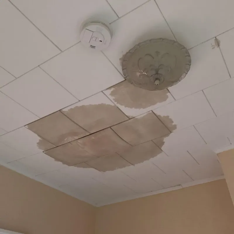 Ceiling Water Damage Repair in Paris, ME
