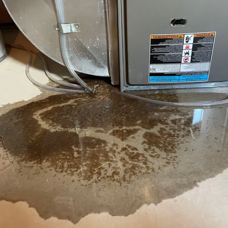 Pipe Burst and Leak Restoration in Paris, ME
