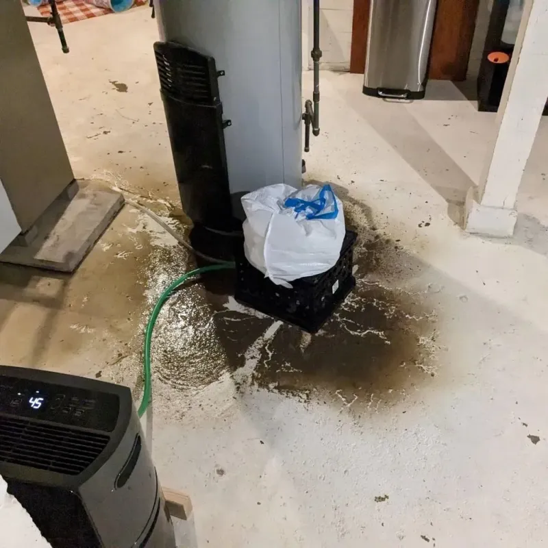 Sewage Backup Cleanup Service in Paris, ME